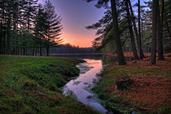 Pennsylvania - Forest Lake